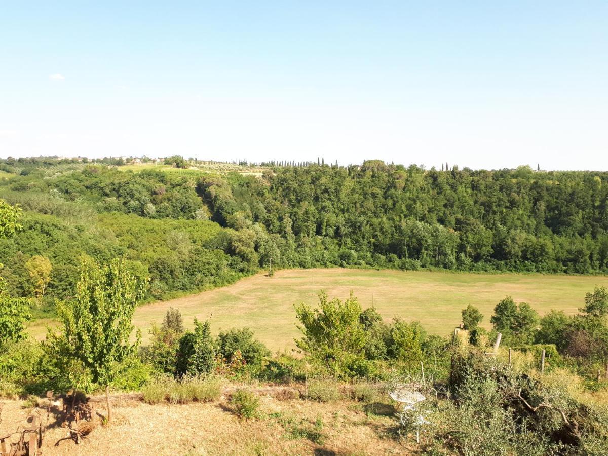Podere Calcinaia Castelnuovo Berardenga Exterior foto