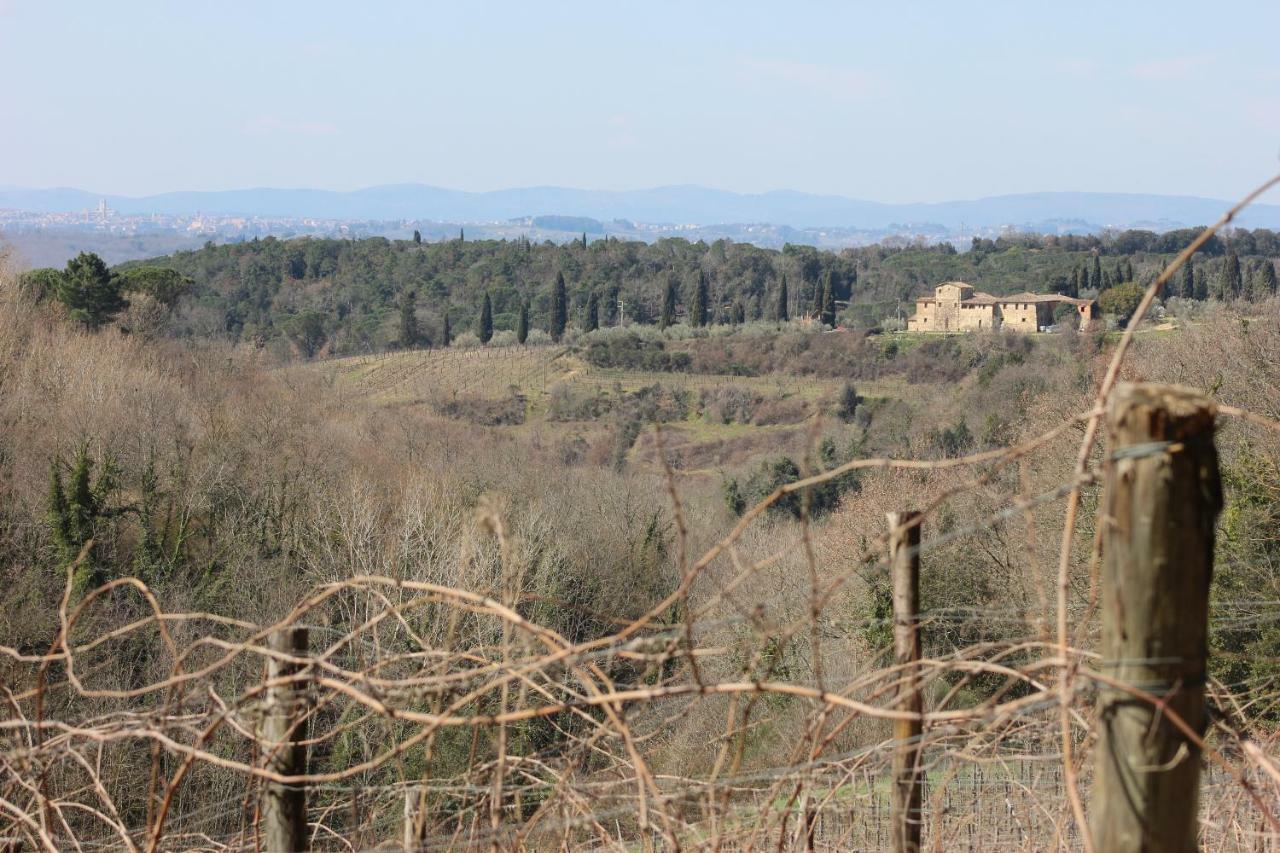Podere Calcinaia Castelnuovo Berardenga Exterior foto